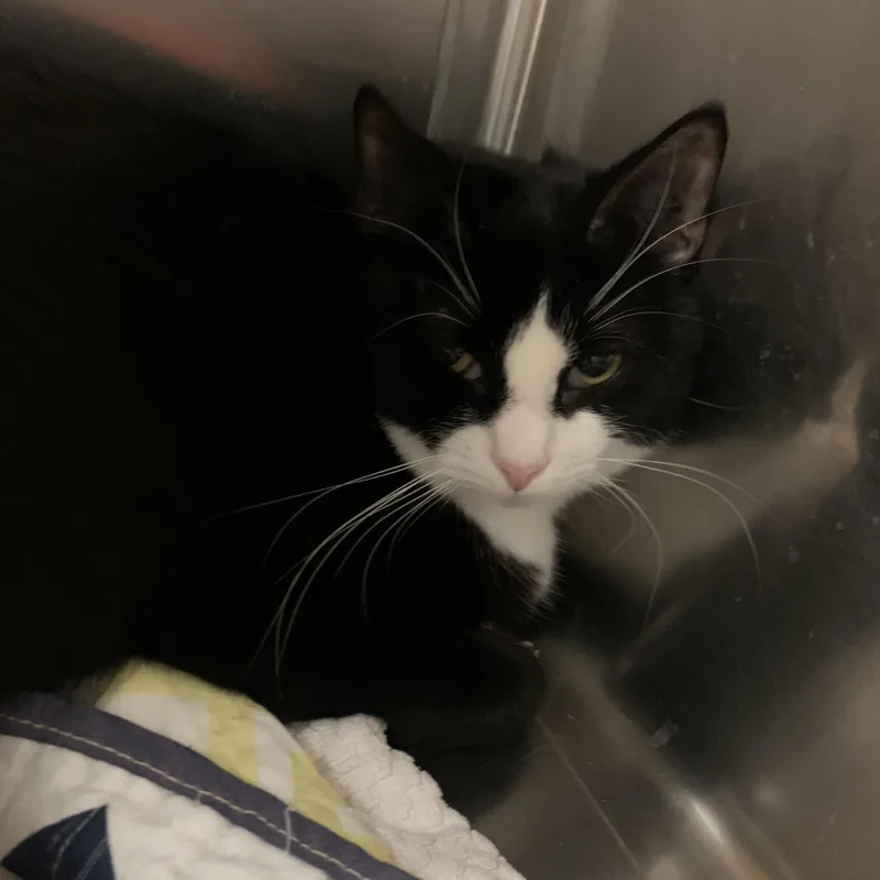 Precious &  Grace thumbnail 5