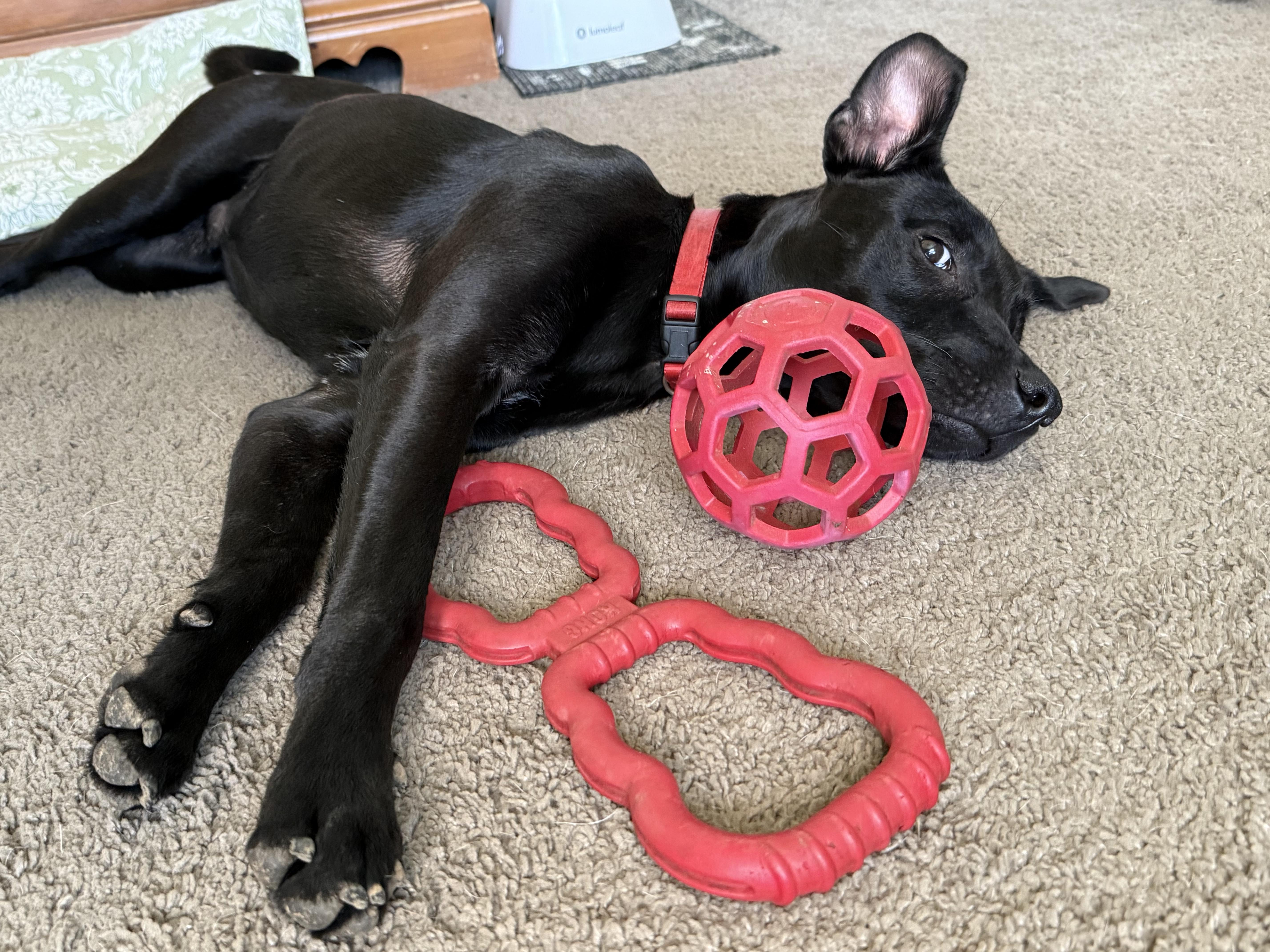 Dodgersponsored W Approved App thumbnail 5