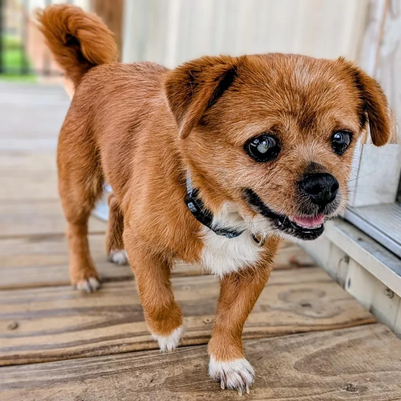 Munchin Mae thumbnail 2