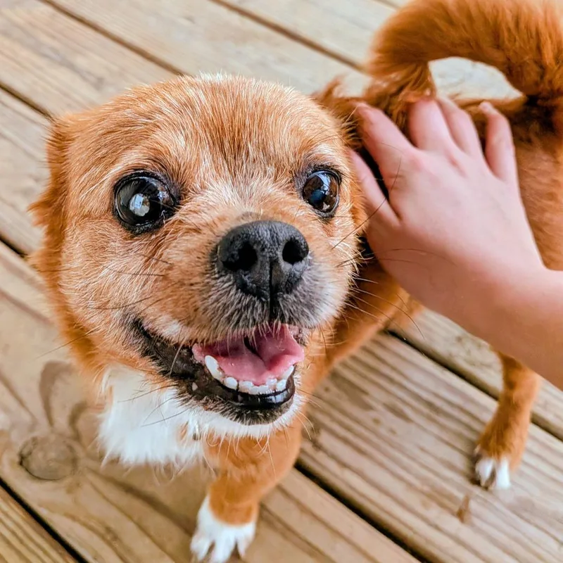 Munchin Mae thumbnail 3