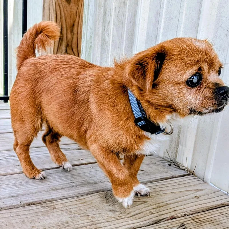 Munchin Mae thumbnail 4