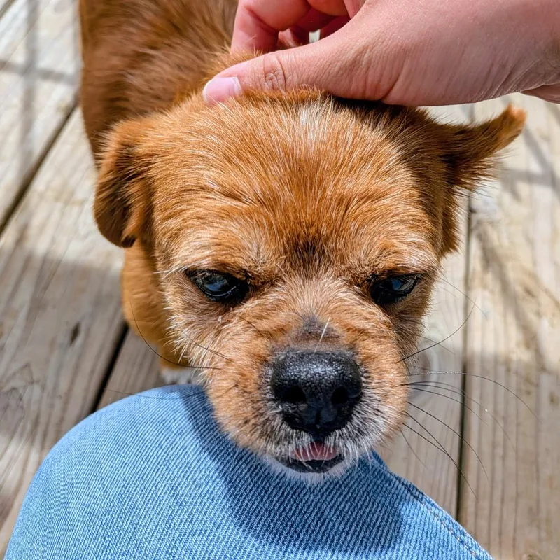 Munchin Mae thumbnail 5