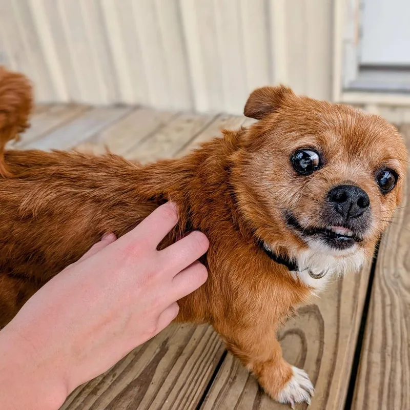 Munchin Mae thumbnail 6