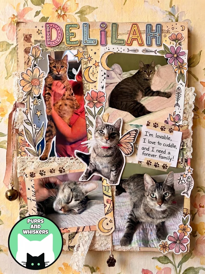 A young medium-sized female Tabby (Tiger Striped) Domestic Short Hair cat named Delilah for adoption in New Hartford, NY