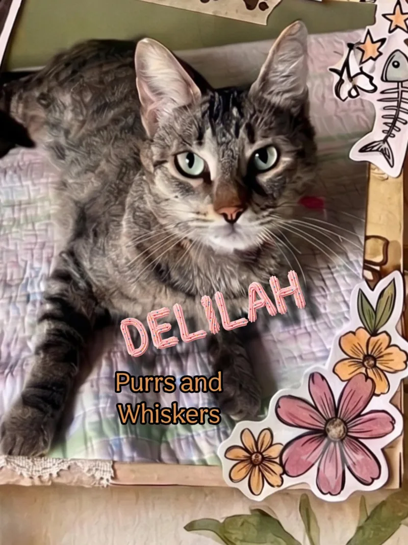 Delilah thumbnail 2