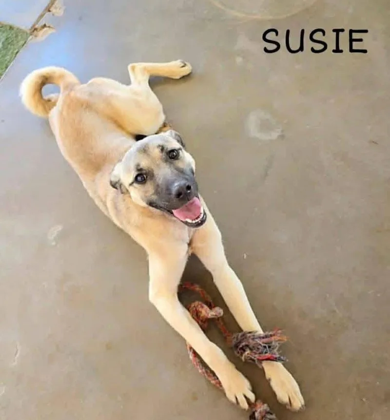 Susie