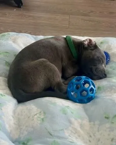 Walter thumbnail 2