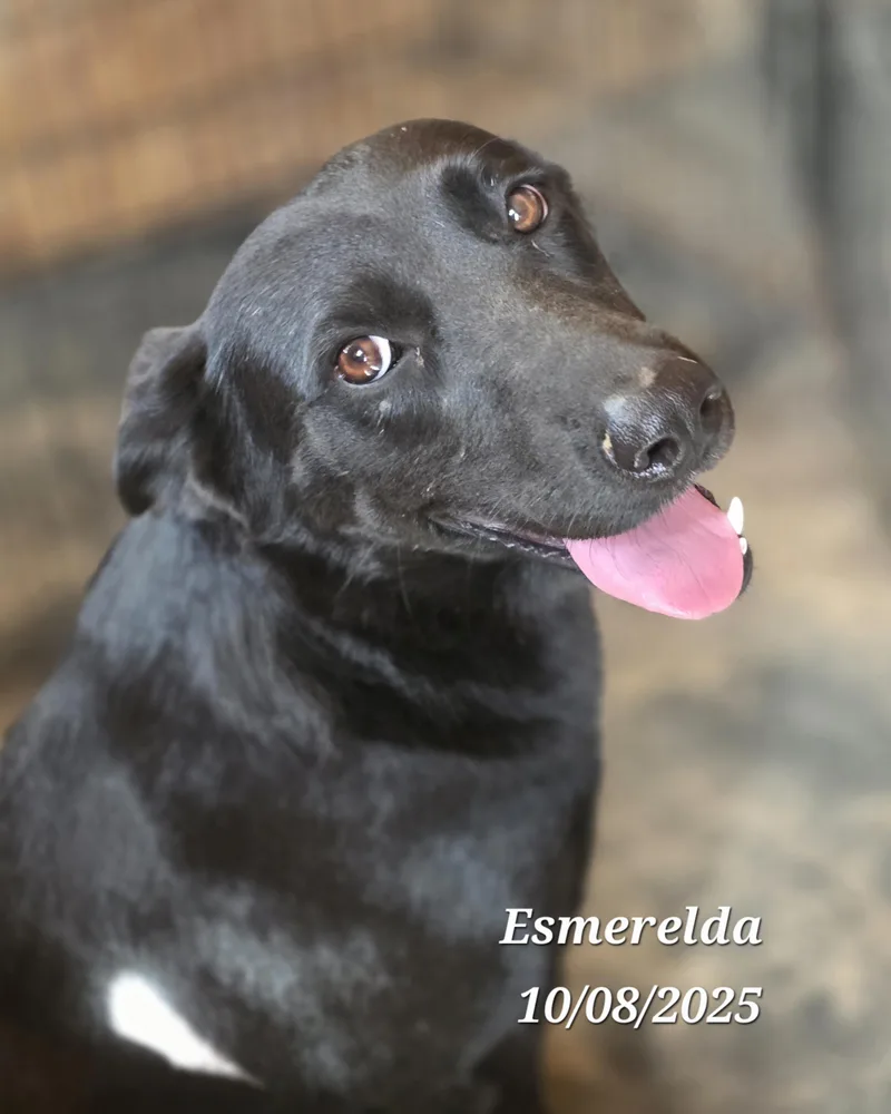Esmerelda
