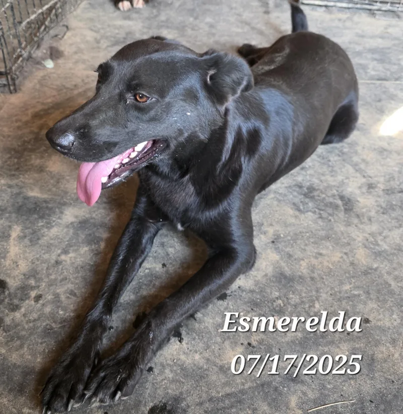 Esmerelda thumbnail 3