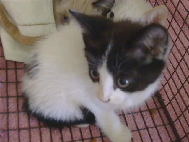 Lucy Mae