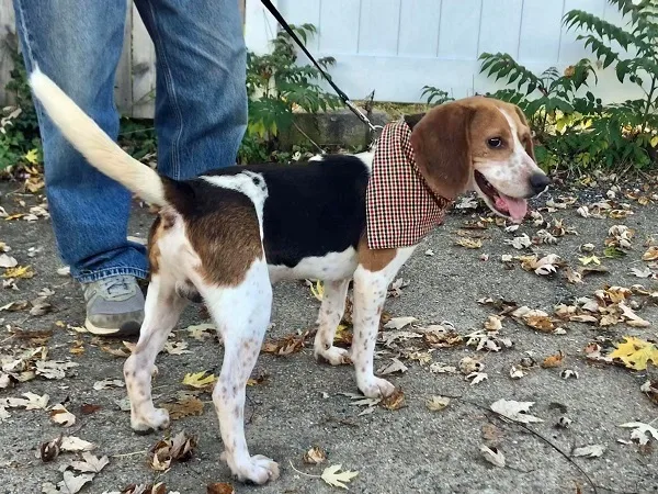 Marlow Hughes thumbnail 2