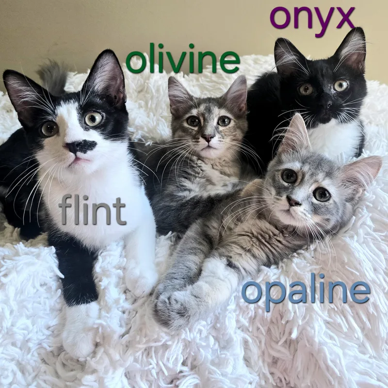 Olivine thumbnail 3