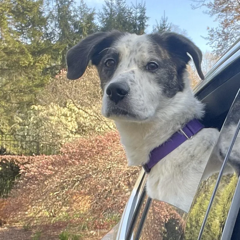 Spree  My Fee thumbnail 2