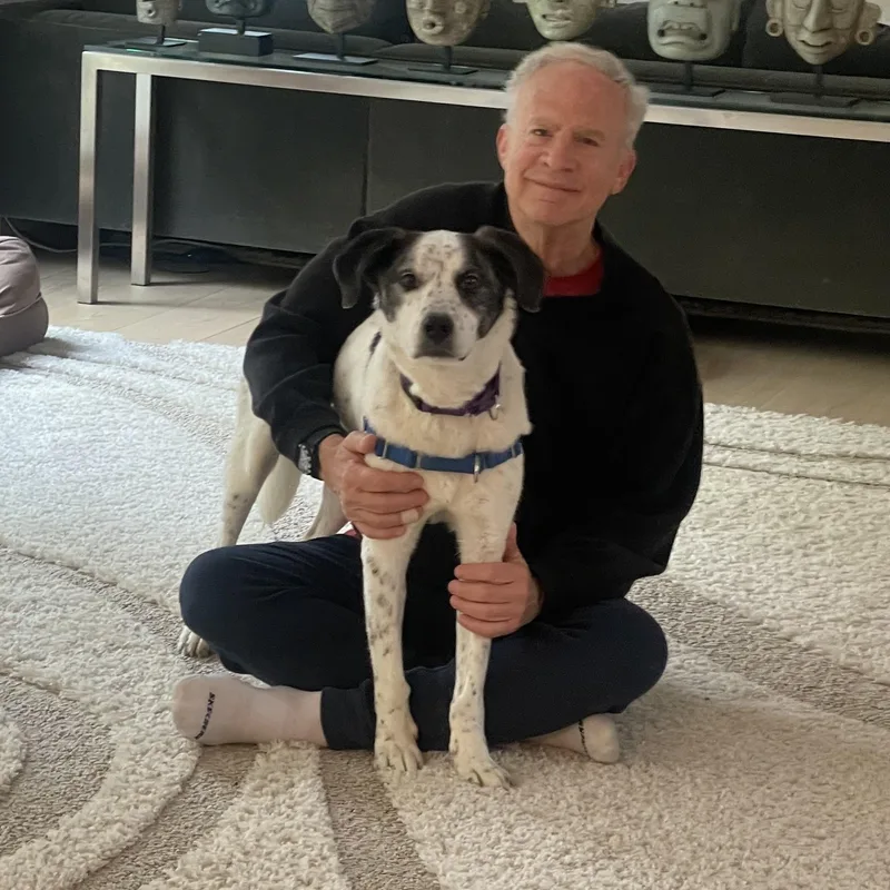 Spree  My Fee thumbnail 4