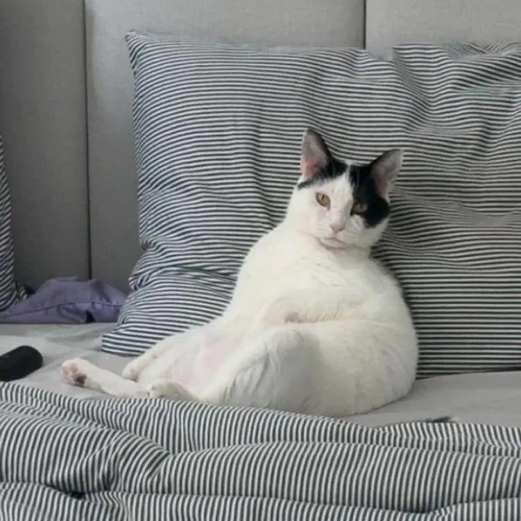 Oscar