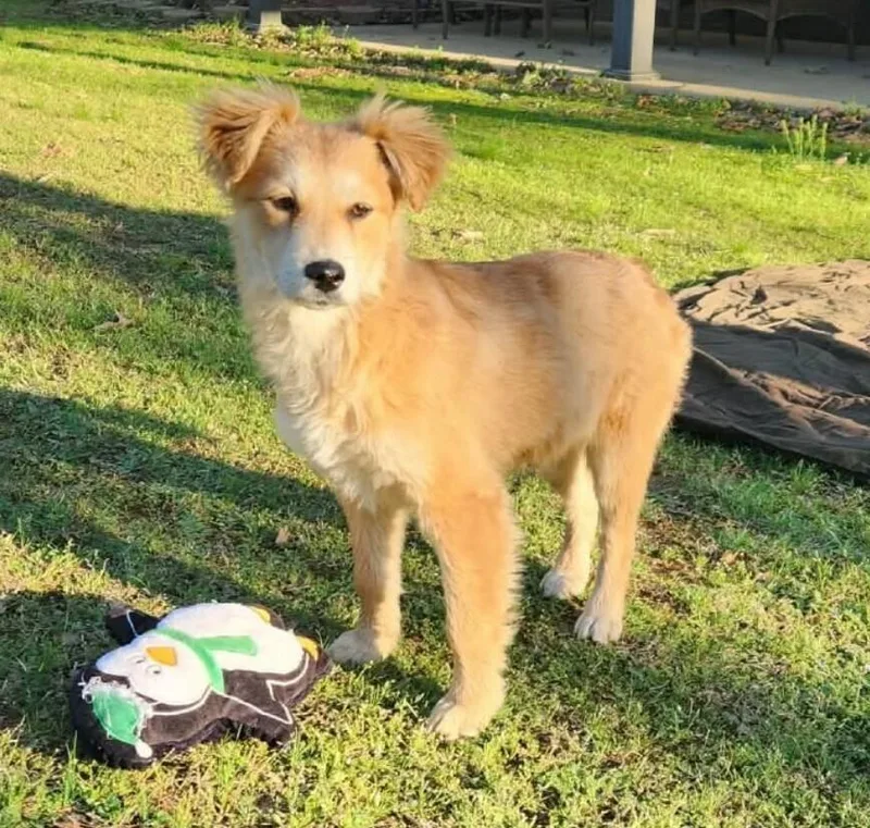 D. J. Waggs thumbnail 2