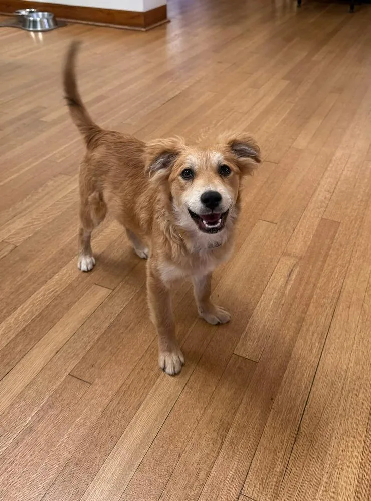 D. J. Waggs thumbnail 3