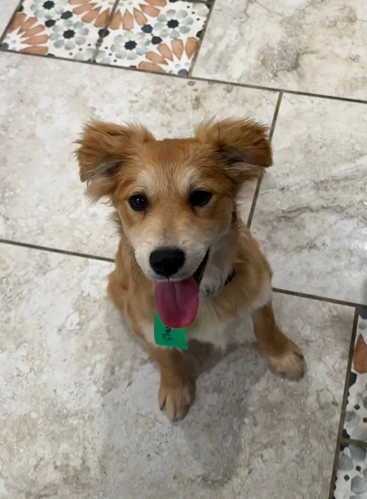 D. J. Waggs thumbnail 4