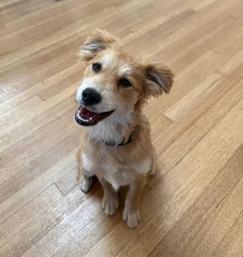 D. J. Waggs thumbnail 5