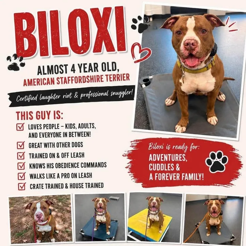 Biloxi thumbnail 2