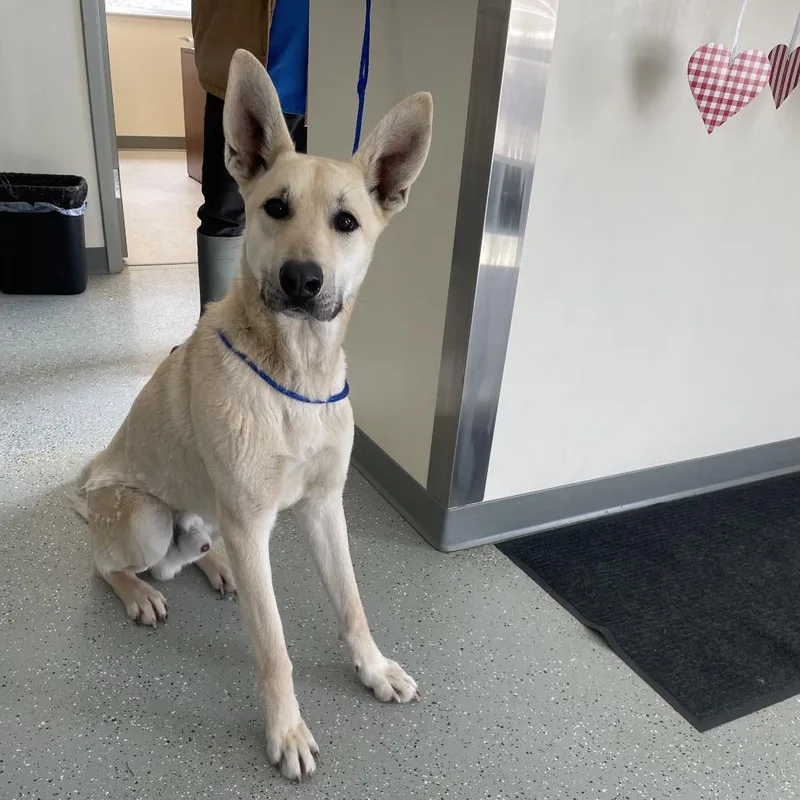 Guinness thumbnail 2