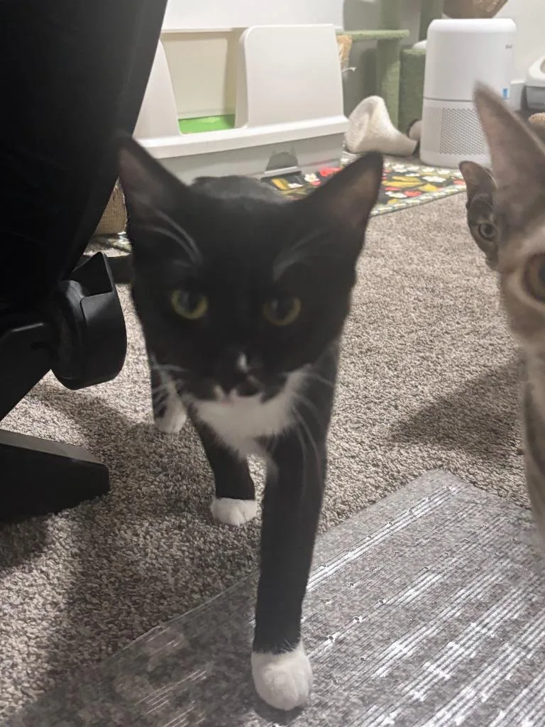 Fred Jones thumbnail 2