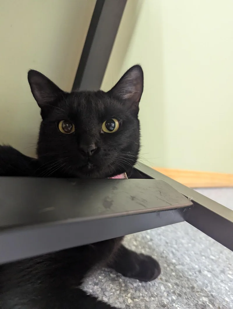 Karen thumbnail 4