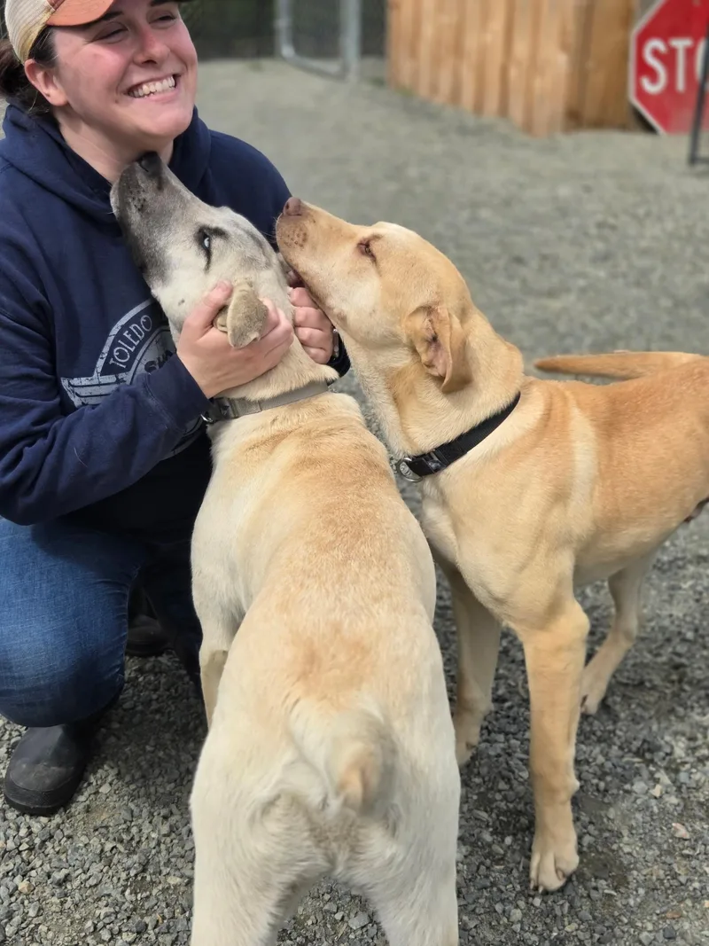 Wrinkles thumbnail 2