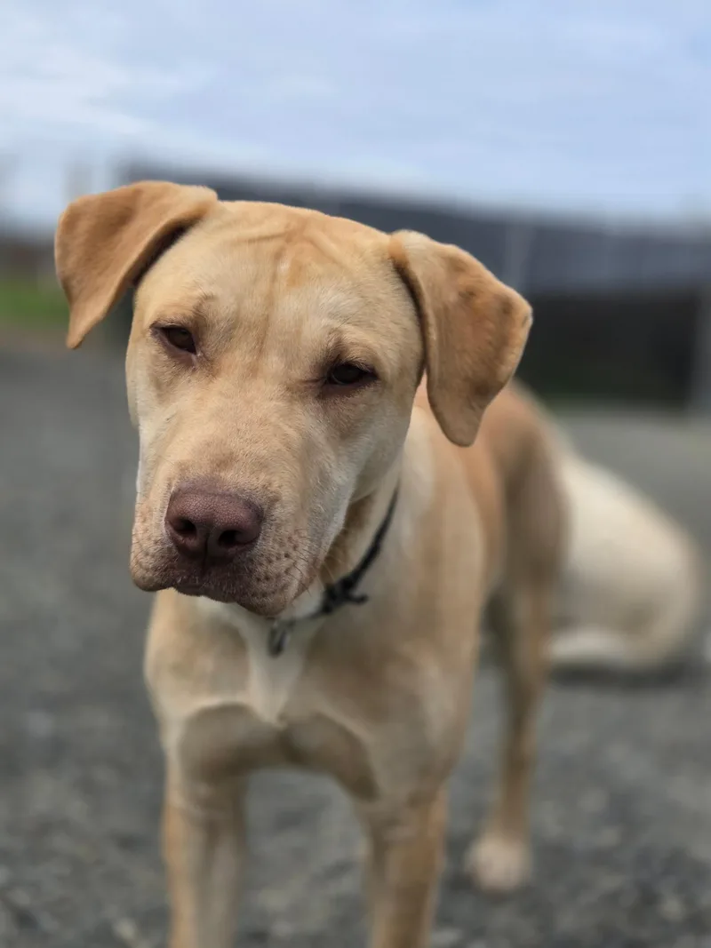 Wrinkles thumbnail 3