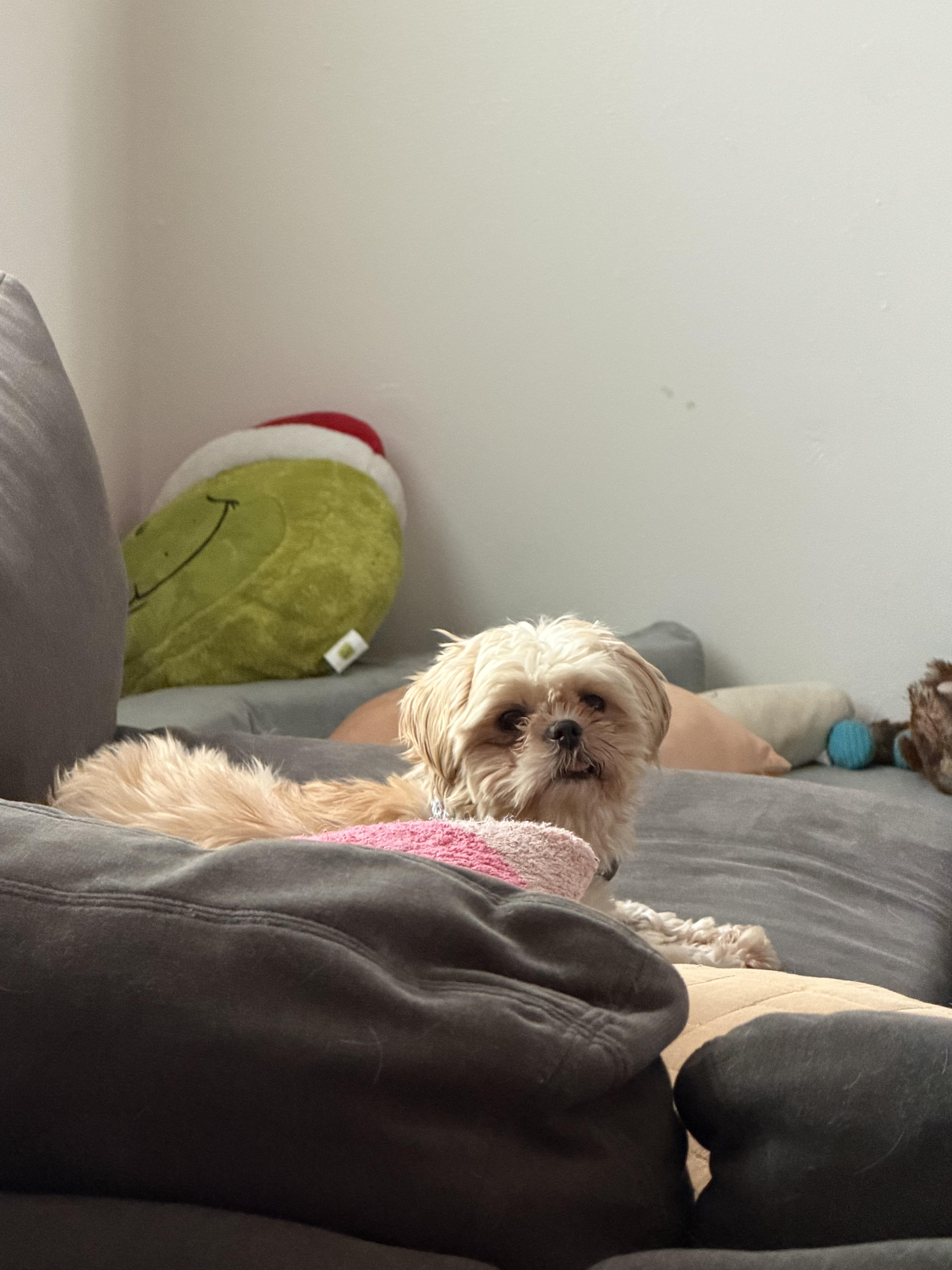 Blondie thumbnail 2