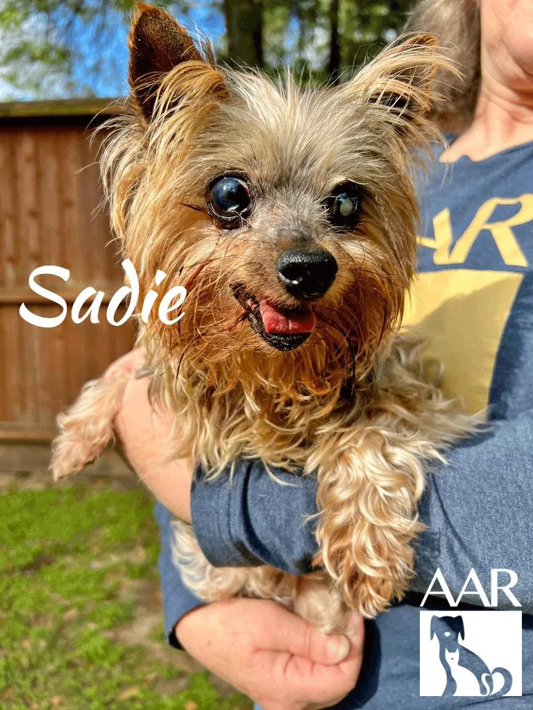 Sadie