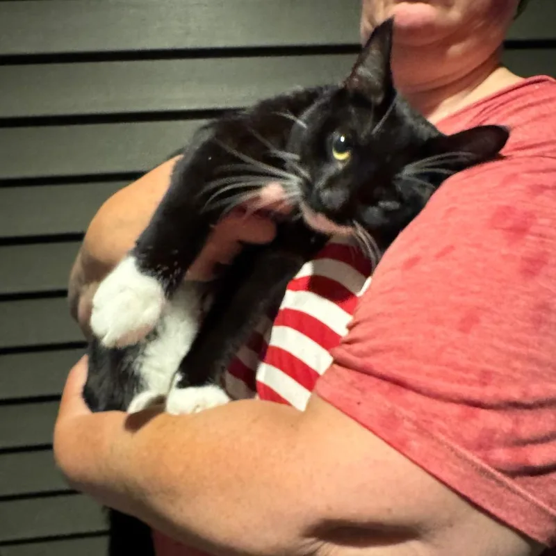 Found Se Rochester thumbnail 2