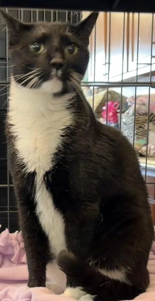 Zeus