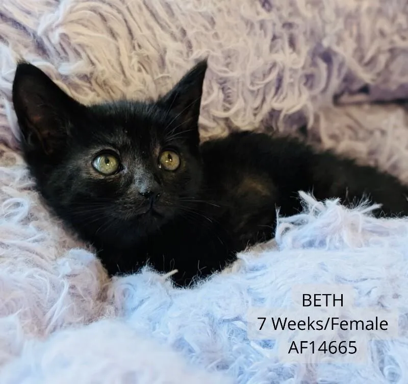 Beth