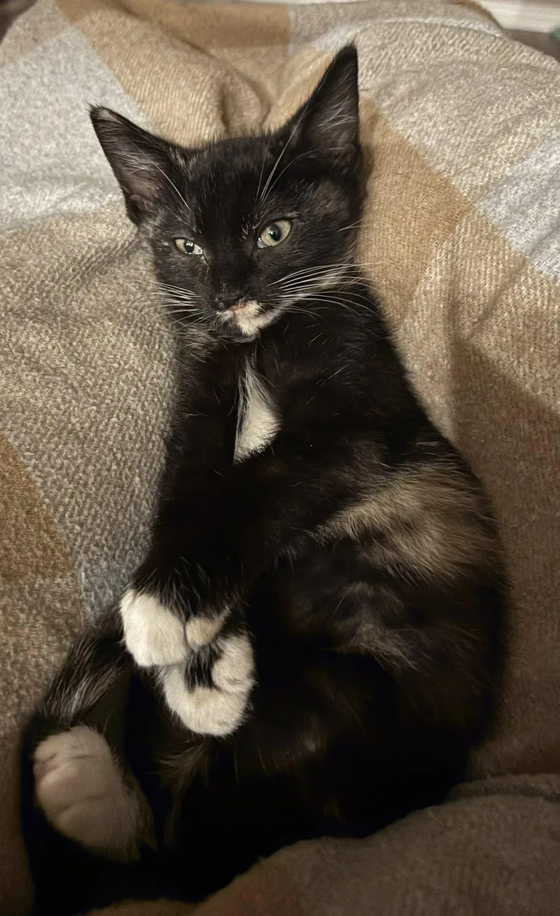 Kiki
