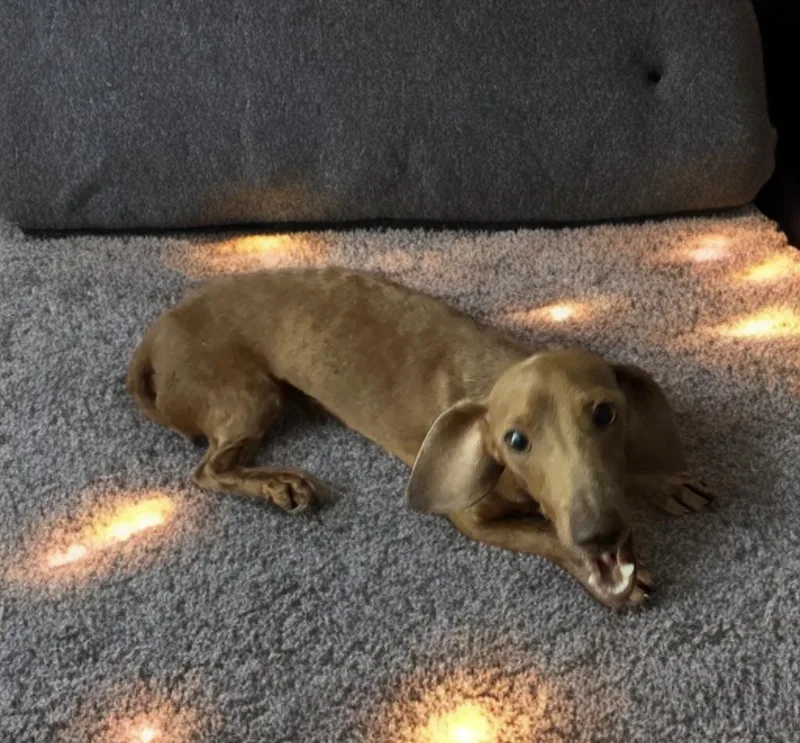 Sprocket thumbnail 2