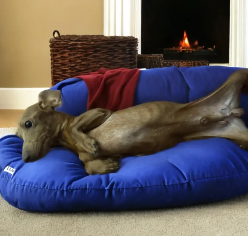 Sprocket thumbnail 4