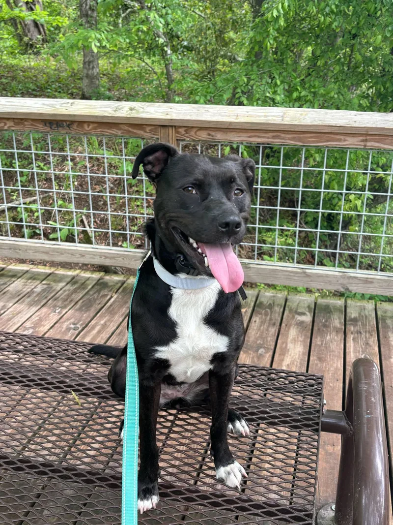 Midnight thumbnail 2