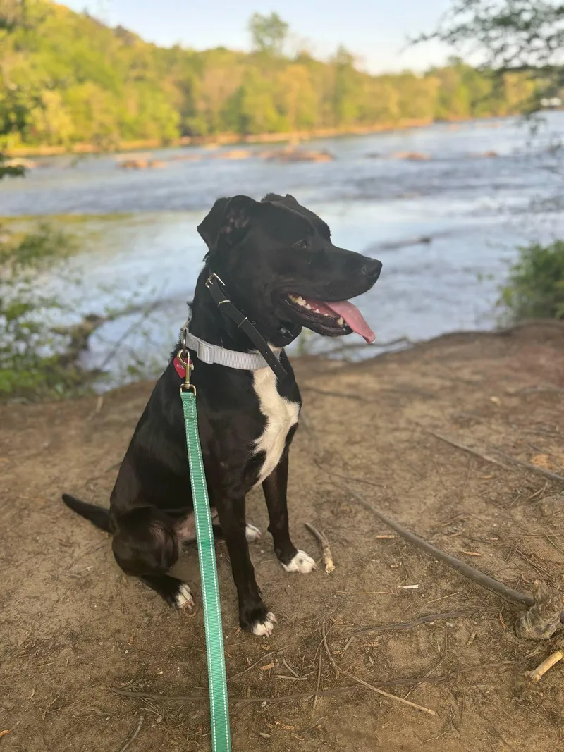 Midnight thumbnail 3