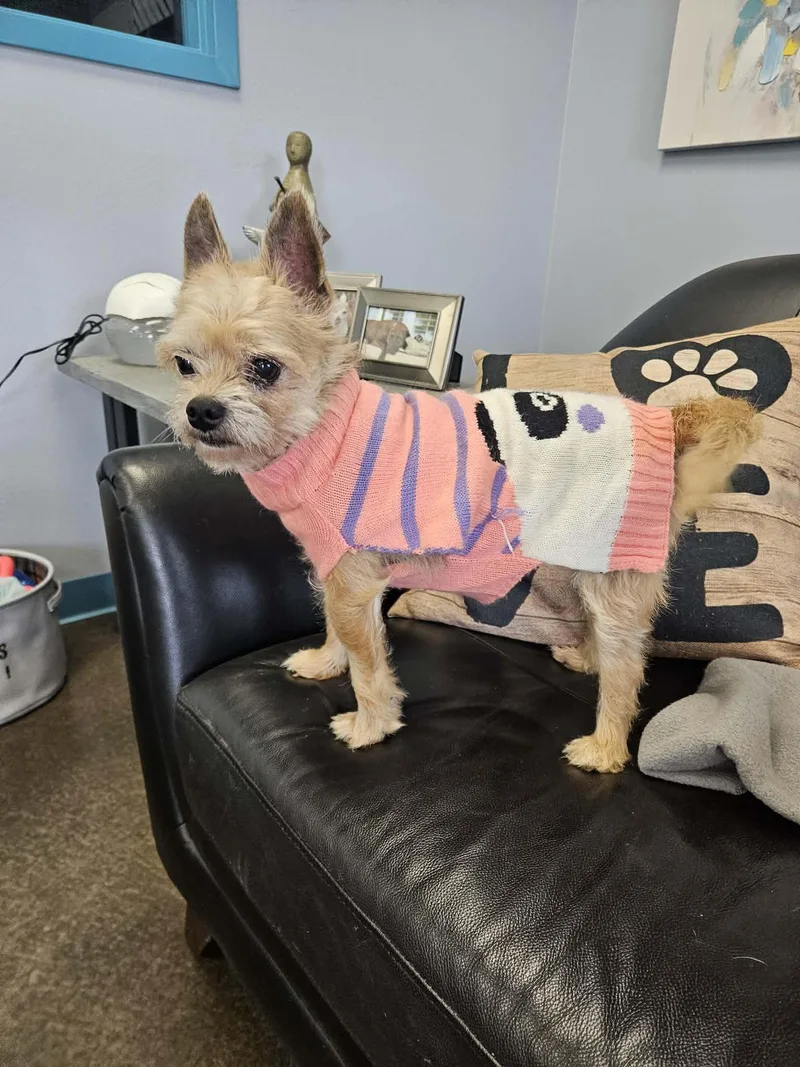 Lola thumbnail 4