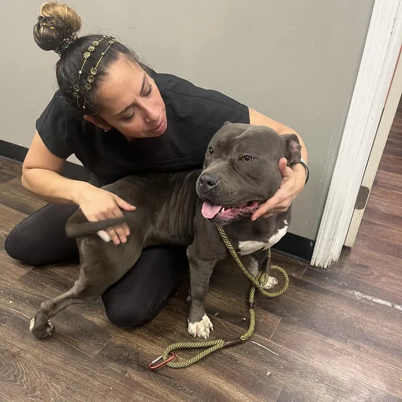 El Chapo thumbnail 4