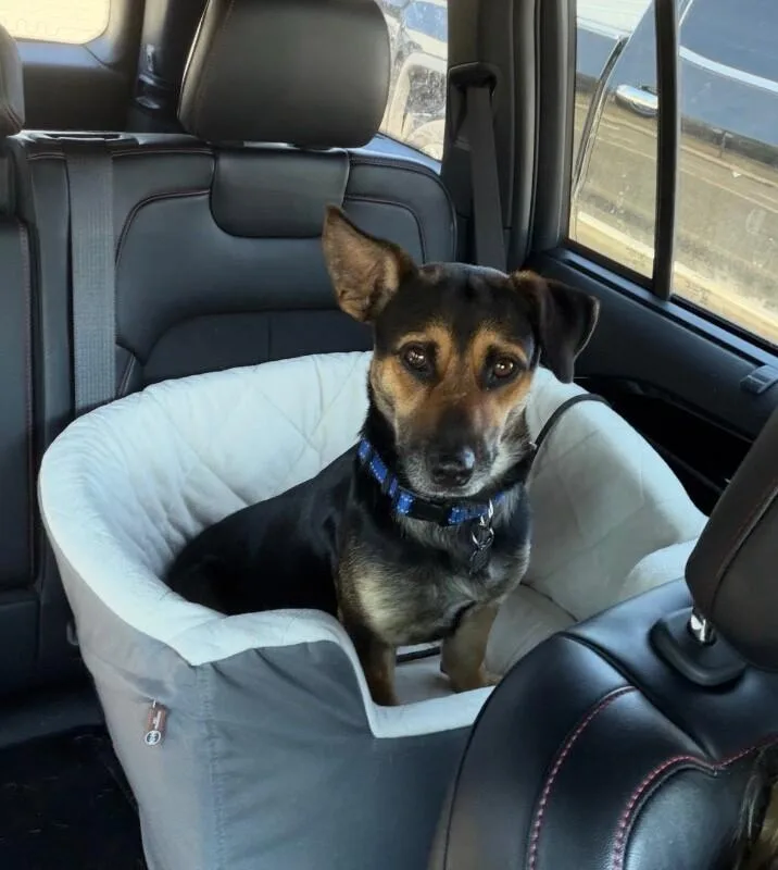 Montgomery Frankfurt thumbnail 2