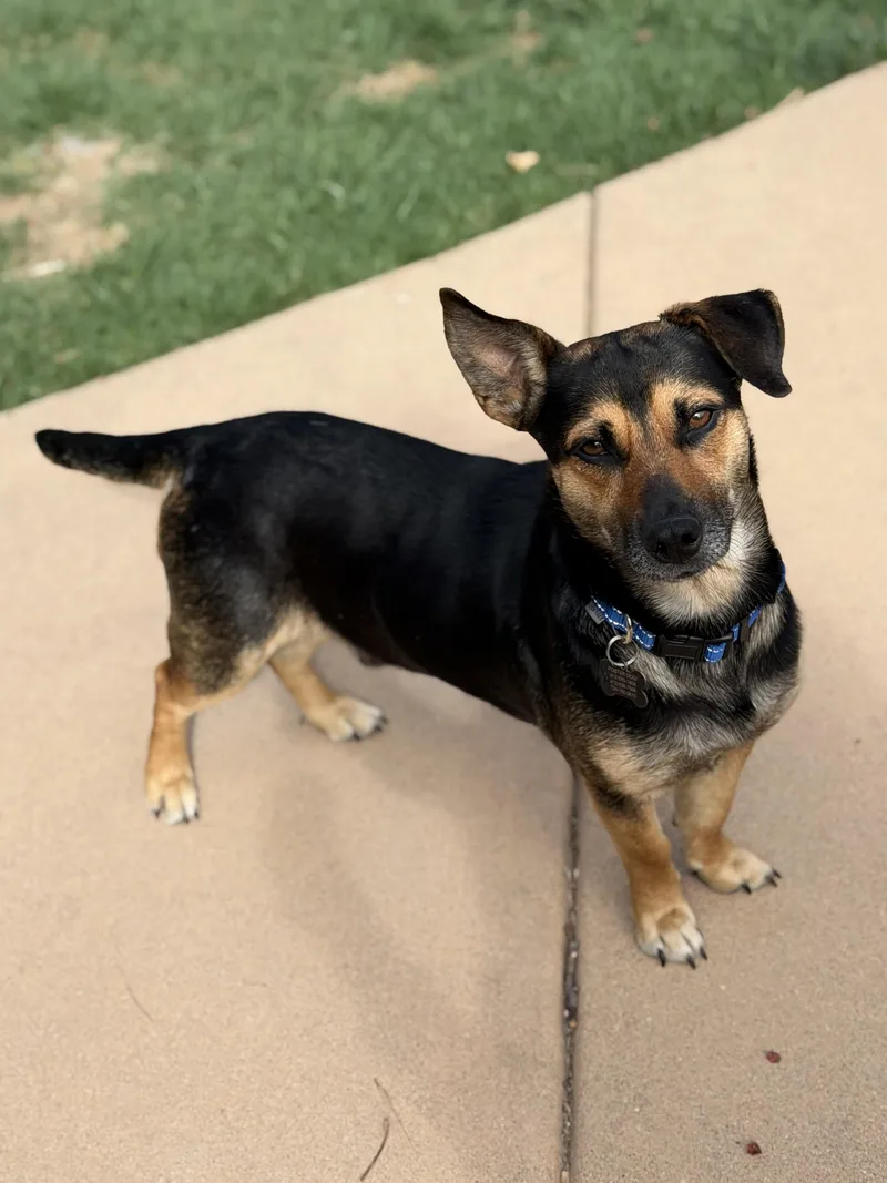 Montgomery Frankfurt thumbnail 6