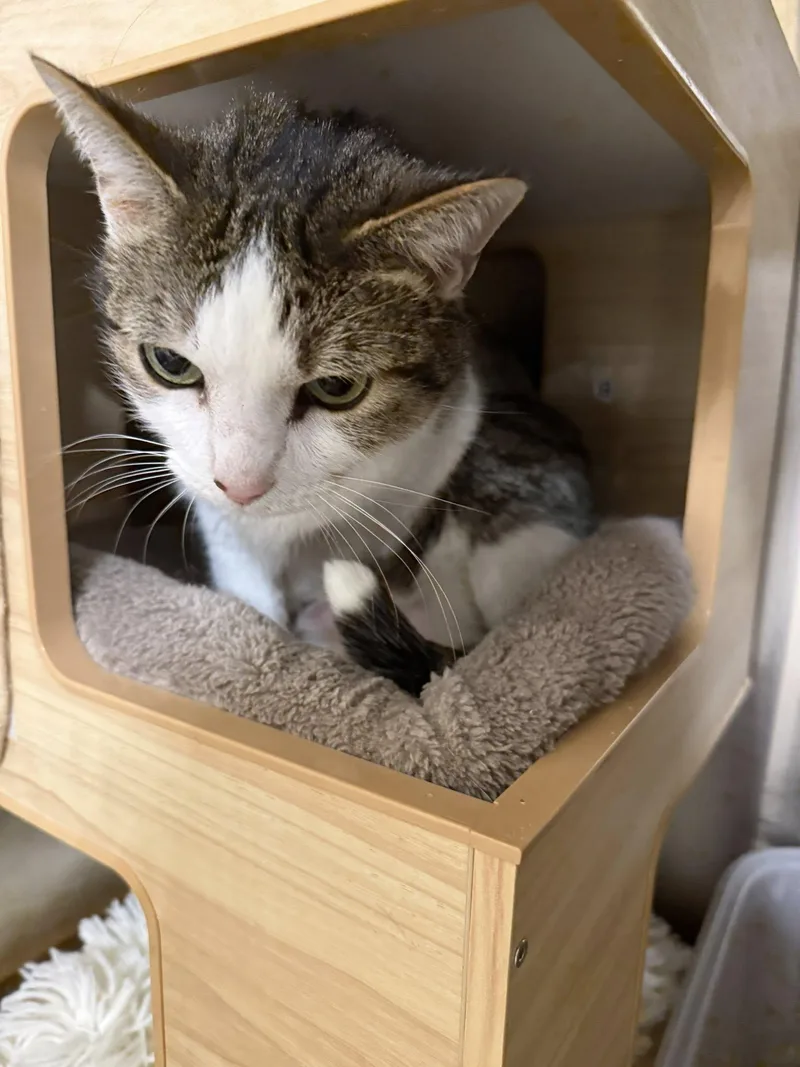 Luna Aka Lt Leslie thumbnail 2