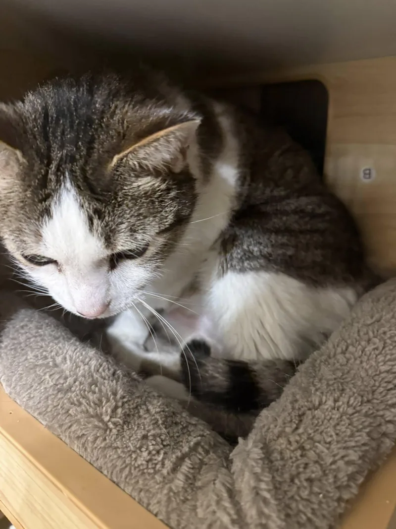 Luna Aka Lt Leslie thumbnail 3