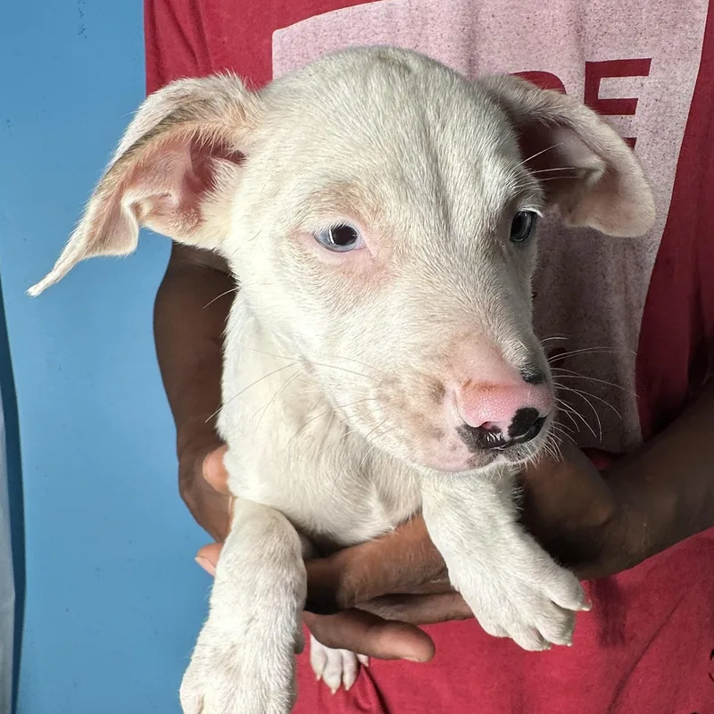 Jett  Local April thumbnail 2