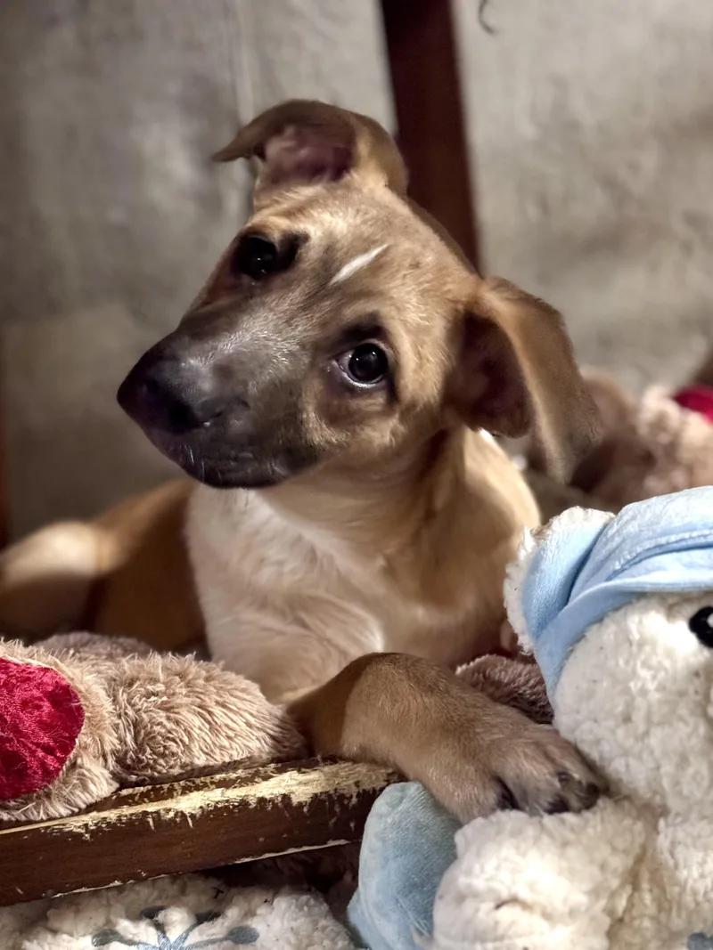 Tate Mcruff thumbnail 2