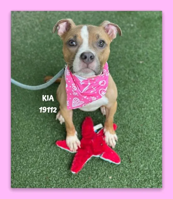 Kia