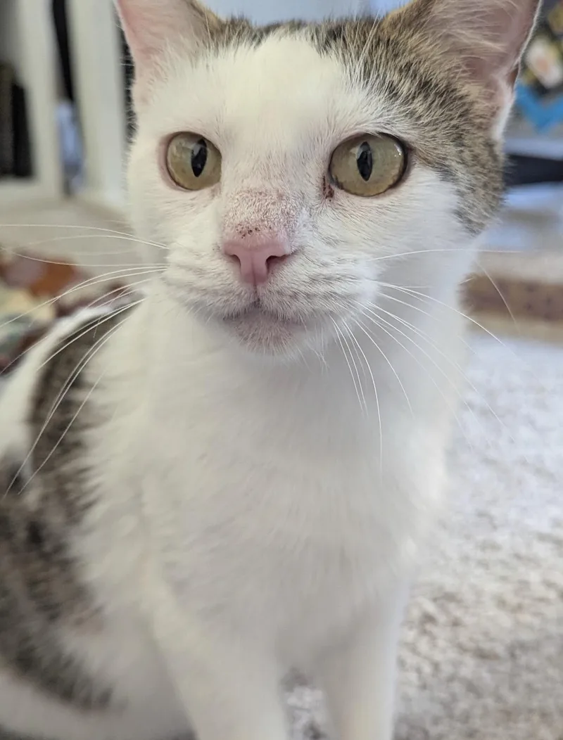 Sweet Pea thumbnail 2