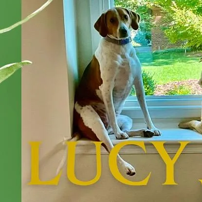 Lucy thumbnail 5